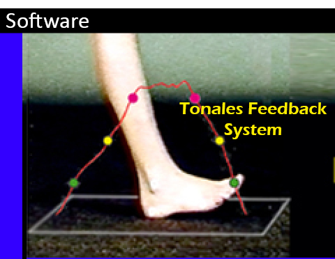 05 Tonales Feedback